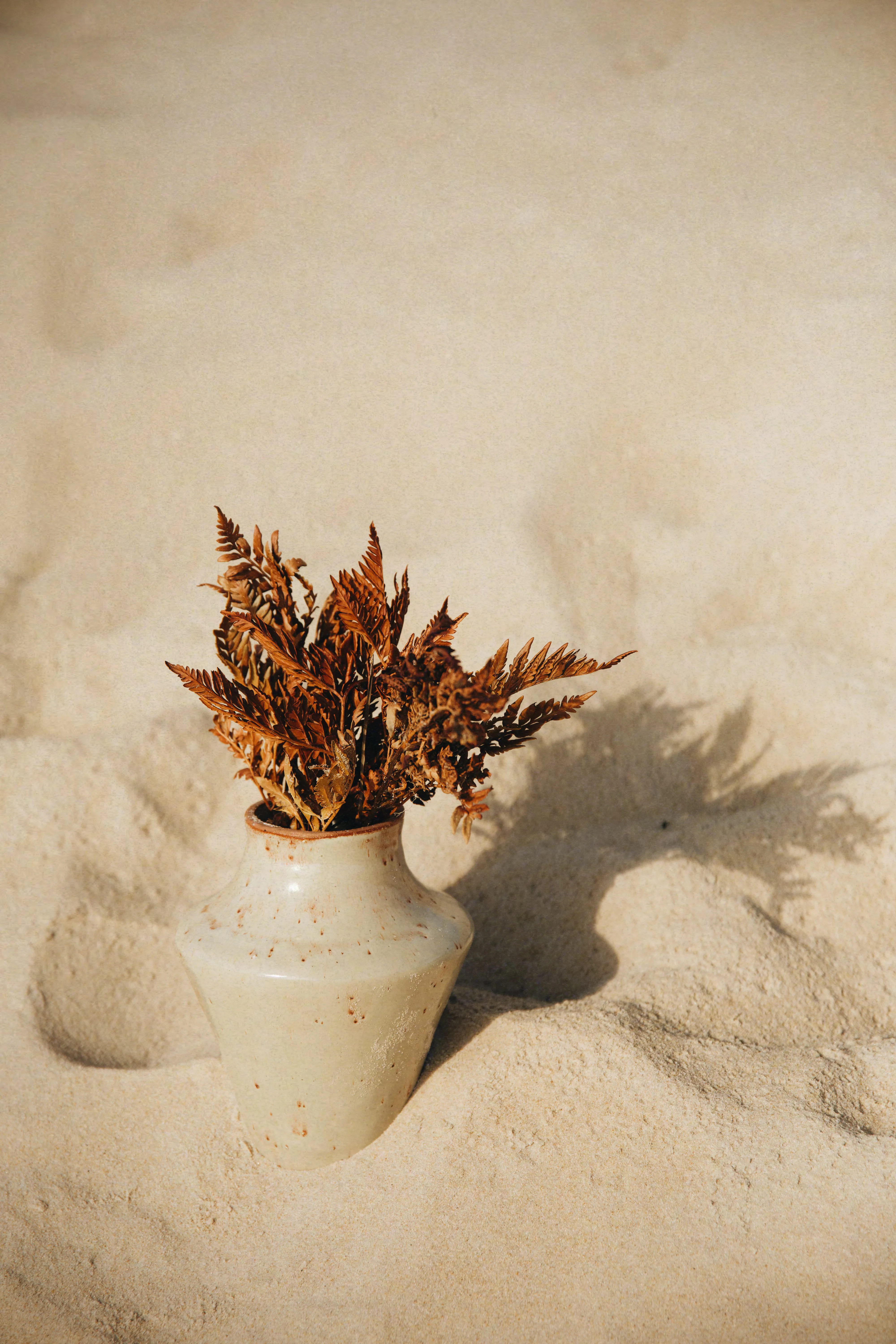 Vaso Dunas #02 semienterrado na areia com folhas secas de samambaia