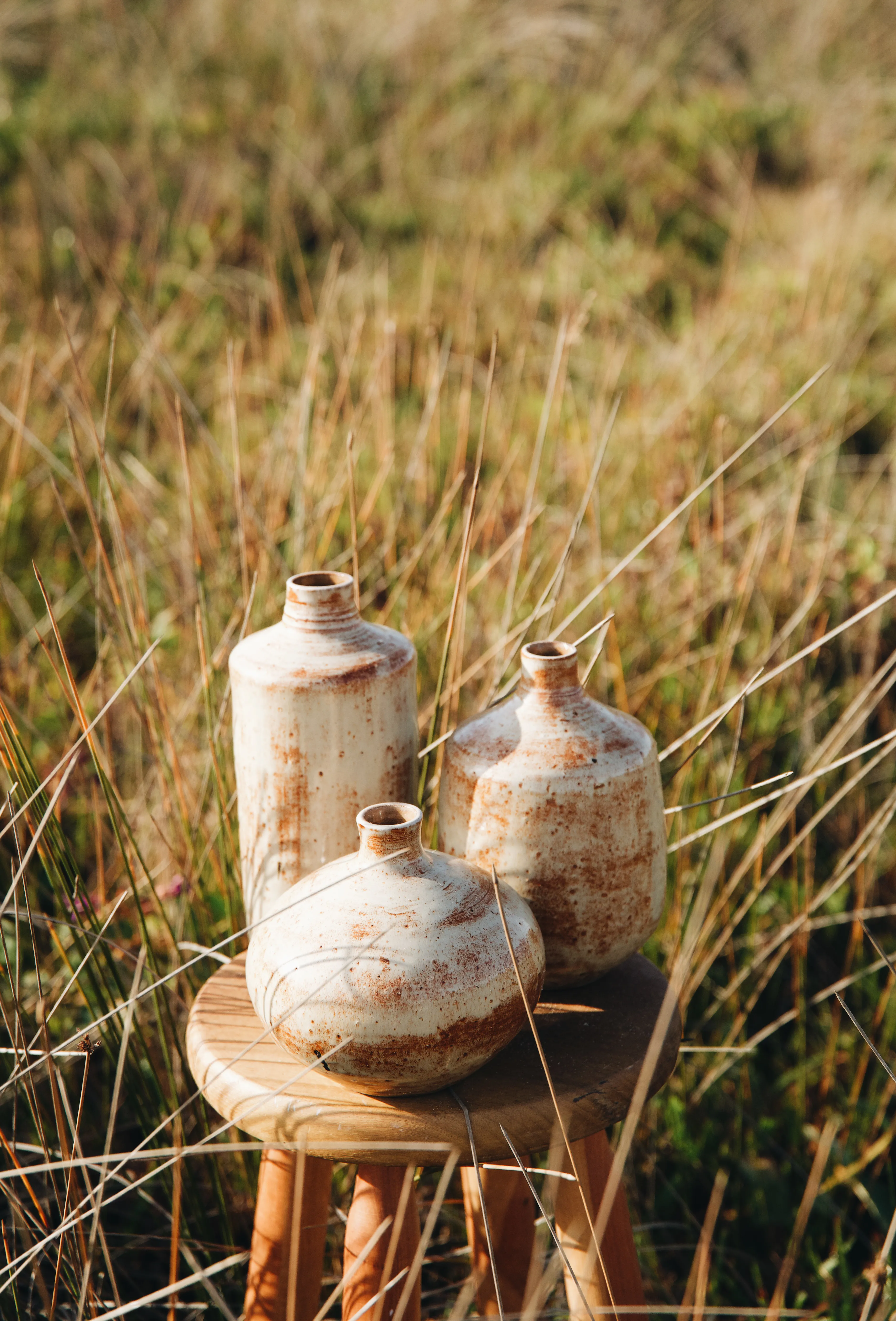 Os três vasos do Trio Dunas reunidos sobre banquinho de madeira em meio ao capim da restinga